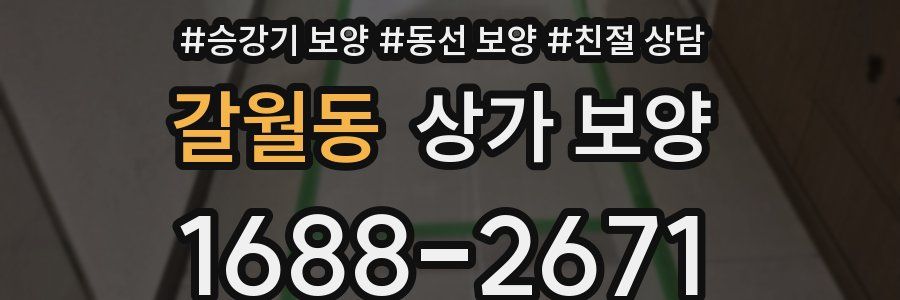 갈월동 상가 보양