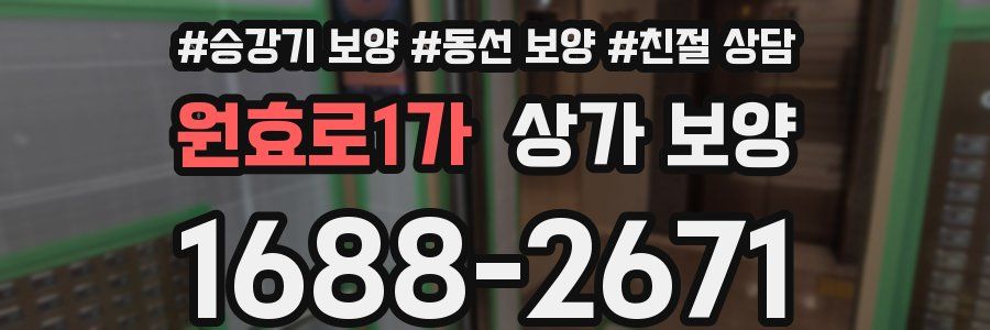 원효로1가 상가 보양