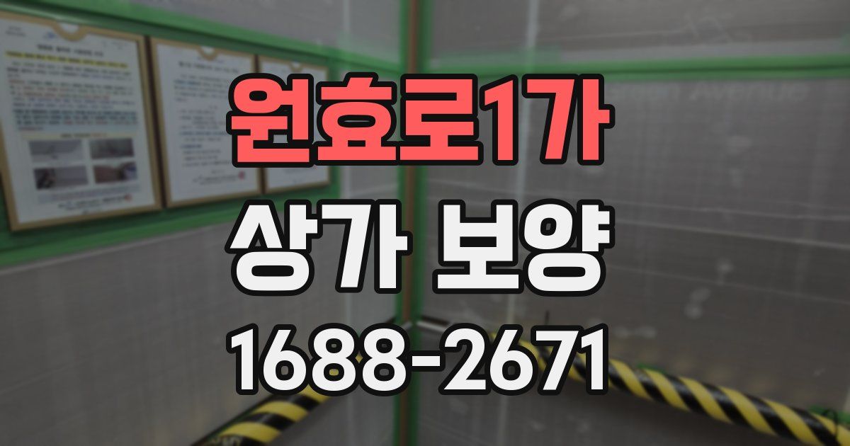 원효로1가 상가 보양