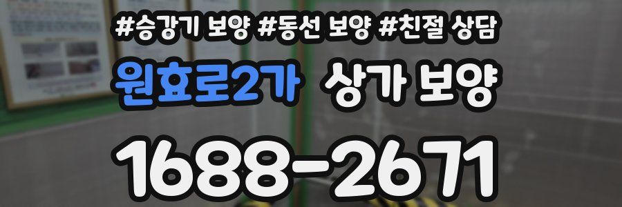 원효로2가 상가 보양
