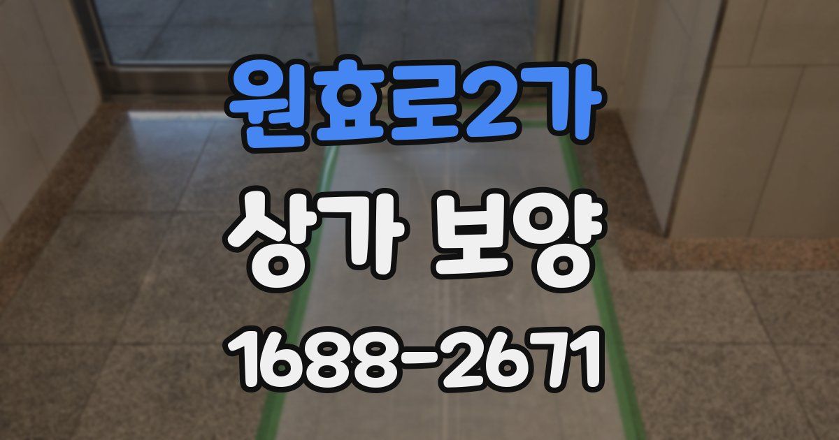 원효로2가 상가 보양