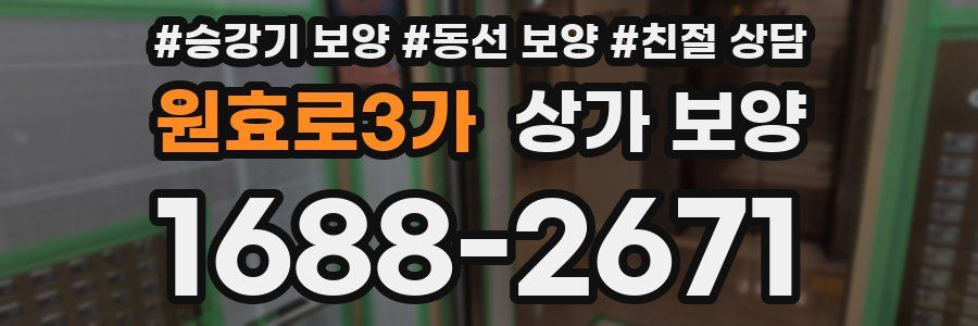 원효로3가 상가 보양