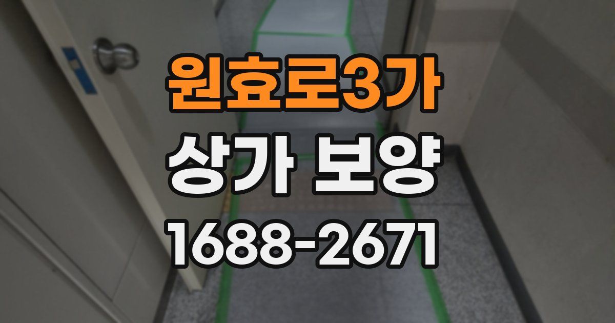 원효로3가 상가 보양