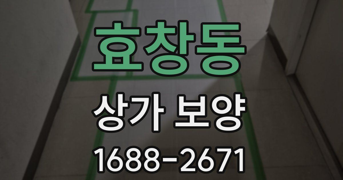 효창동 상가 보양