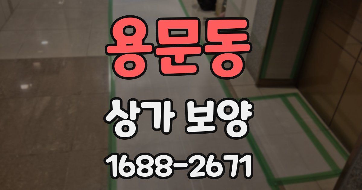 용문동 상가 보양