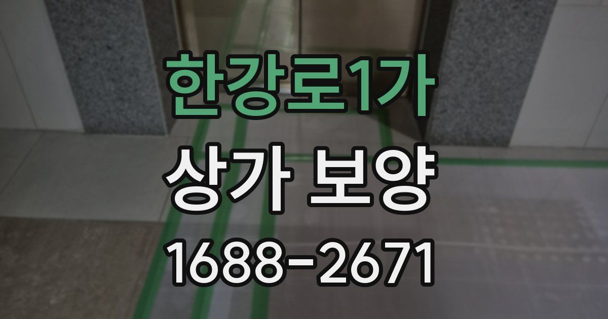 한강로1가 상가 보양