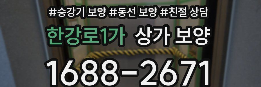 한강로1가 상가 보양