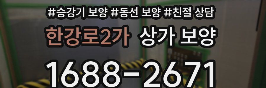 한강로2가 상가 보양