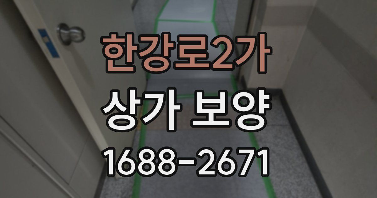 한강로2가 상가 보양