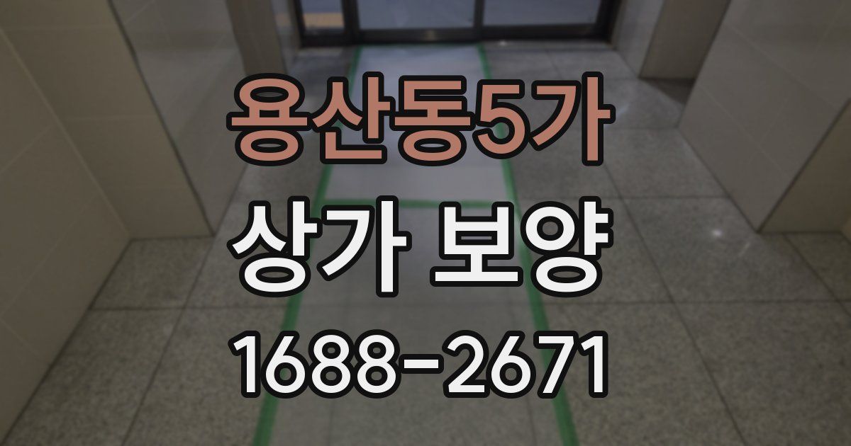 용산동5가 상가 보양