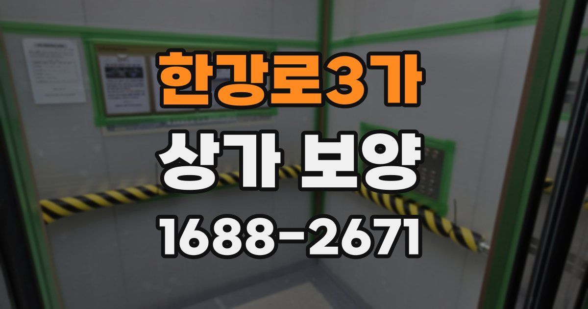 한강로3가 상가 보양