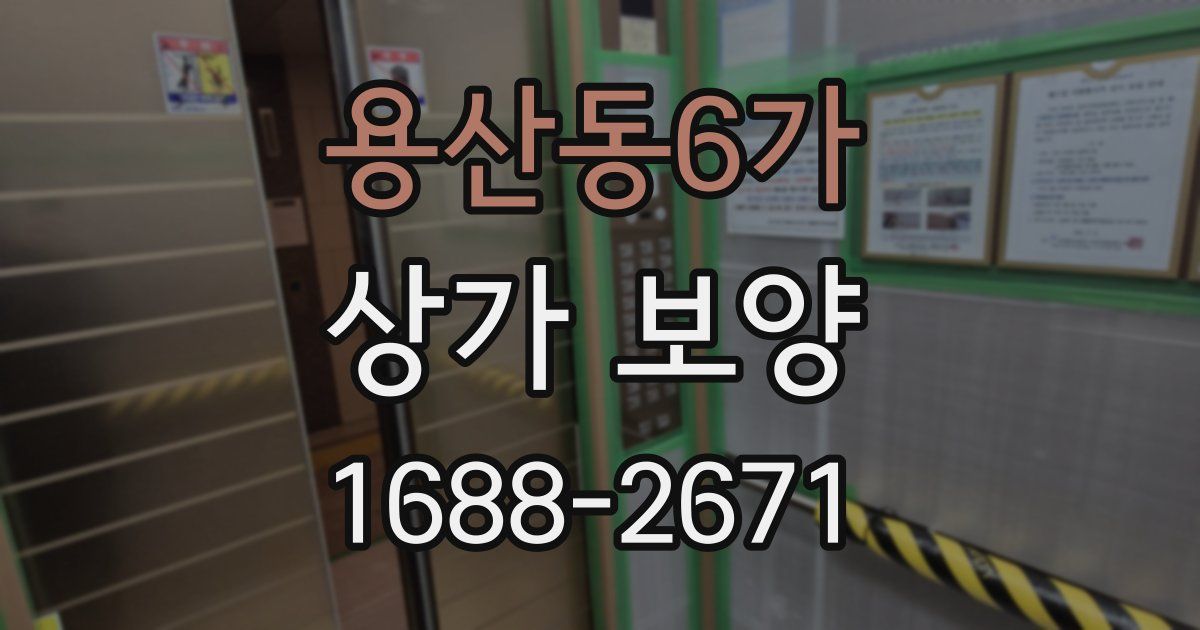 용산동6가 상가 보양