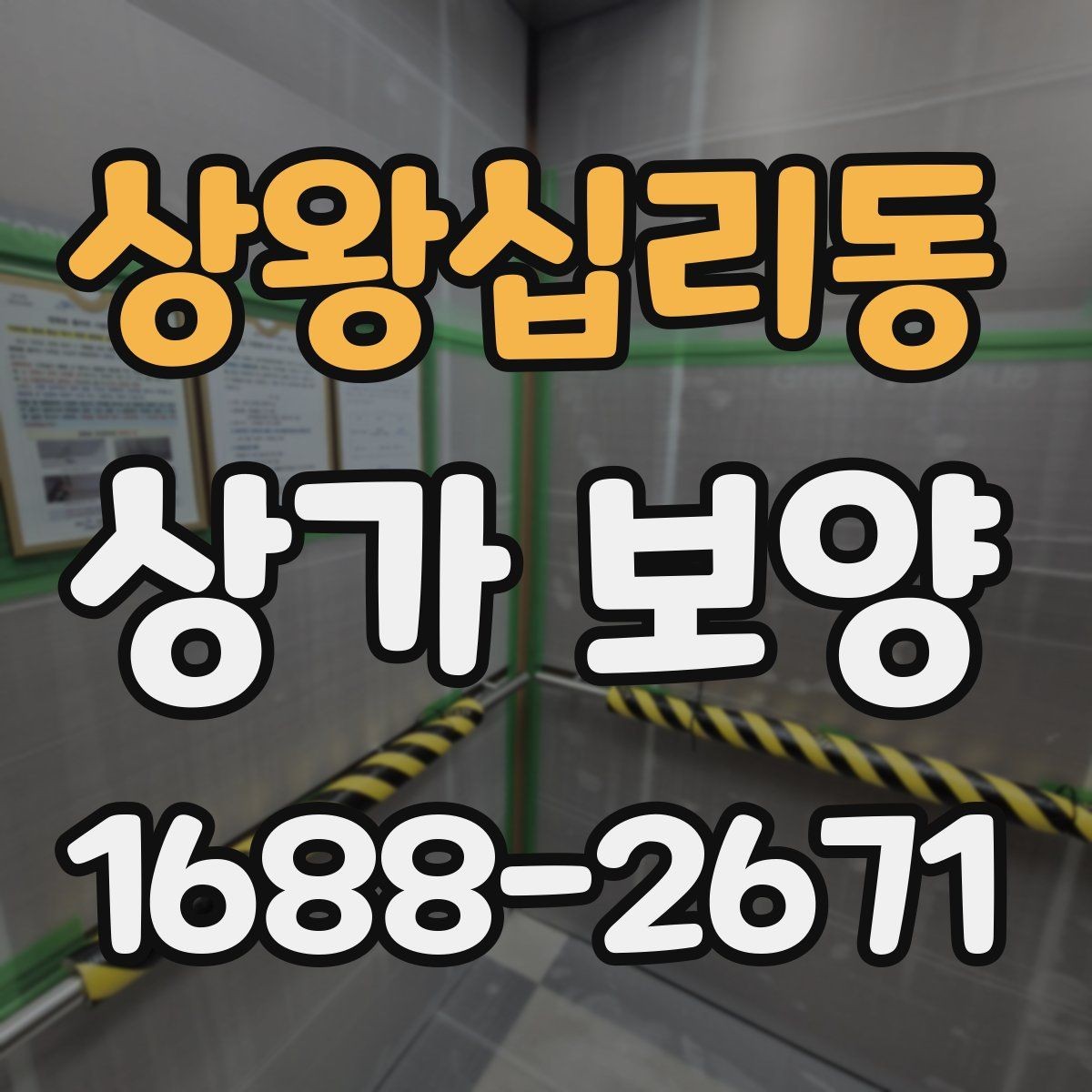 상왕십리동 상가 보양 자재 종류와 활용 사례