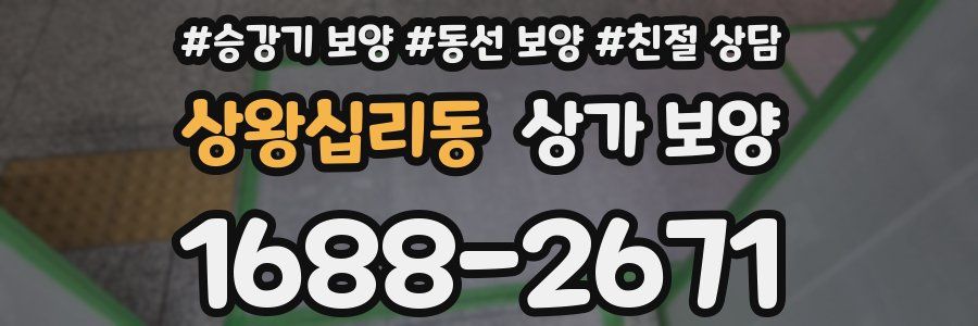 상왕십리동 상가 보양
