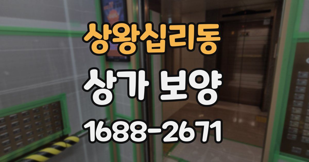 상왕십리동 상가 보양