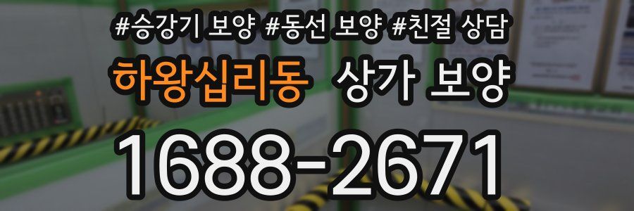 하왕십리동 상가 보양