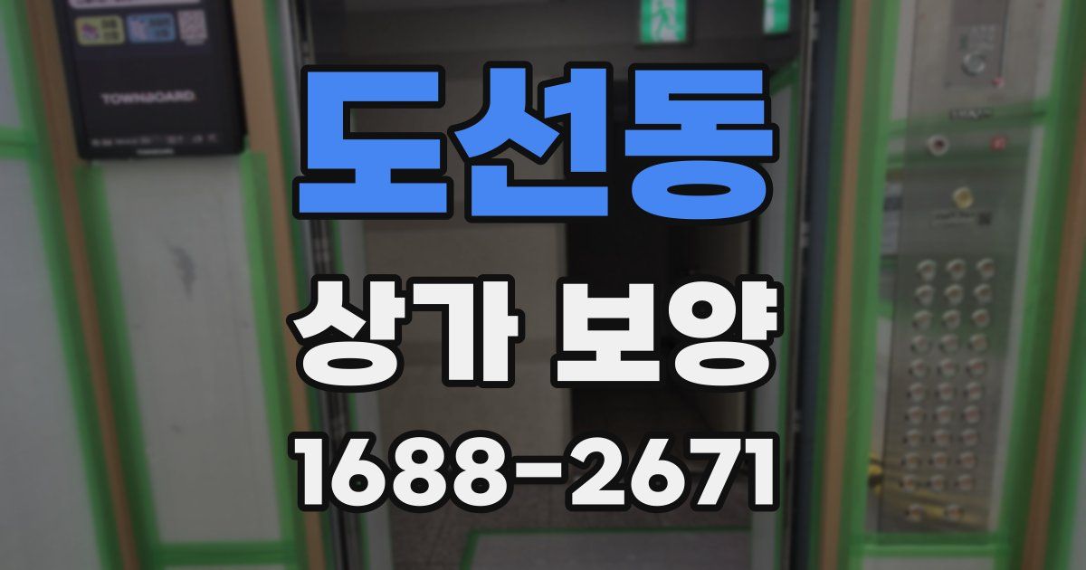 도선동 상가 보양