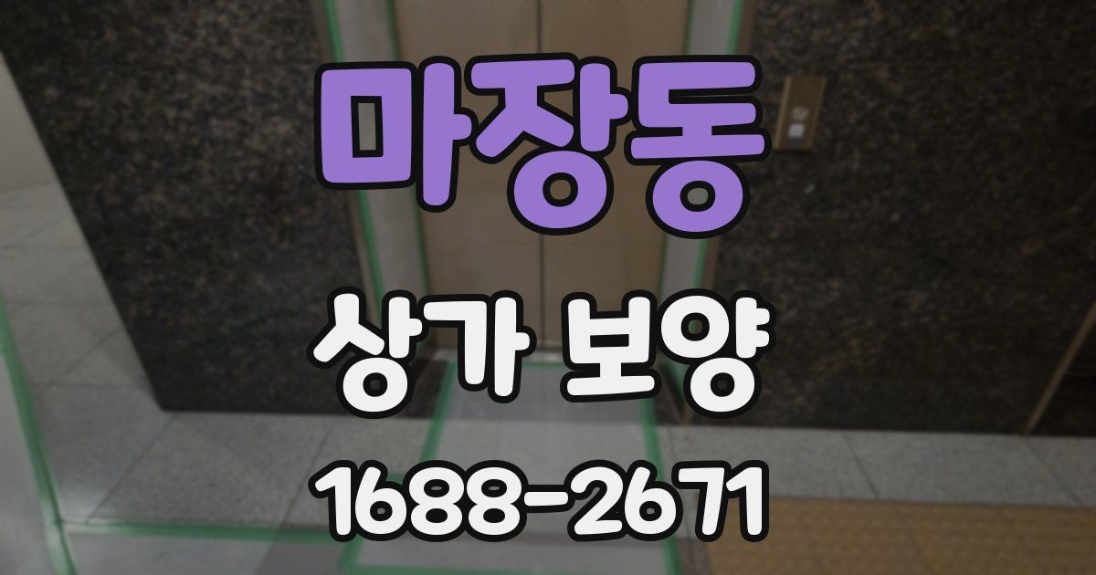마장동 상가 보양