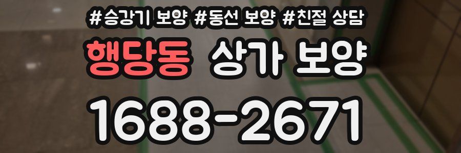 행당동 상가 보양