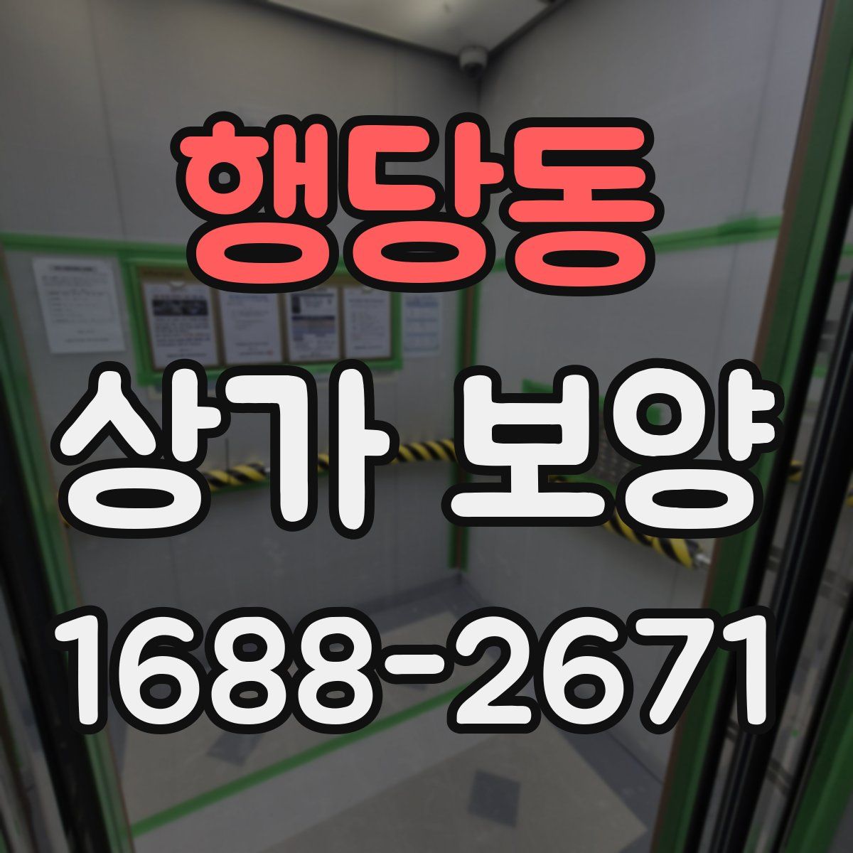 행당동 상가 보양