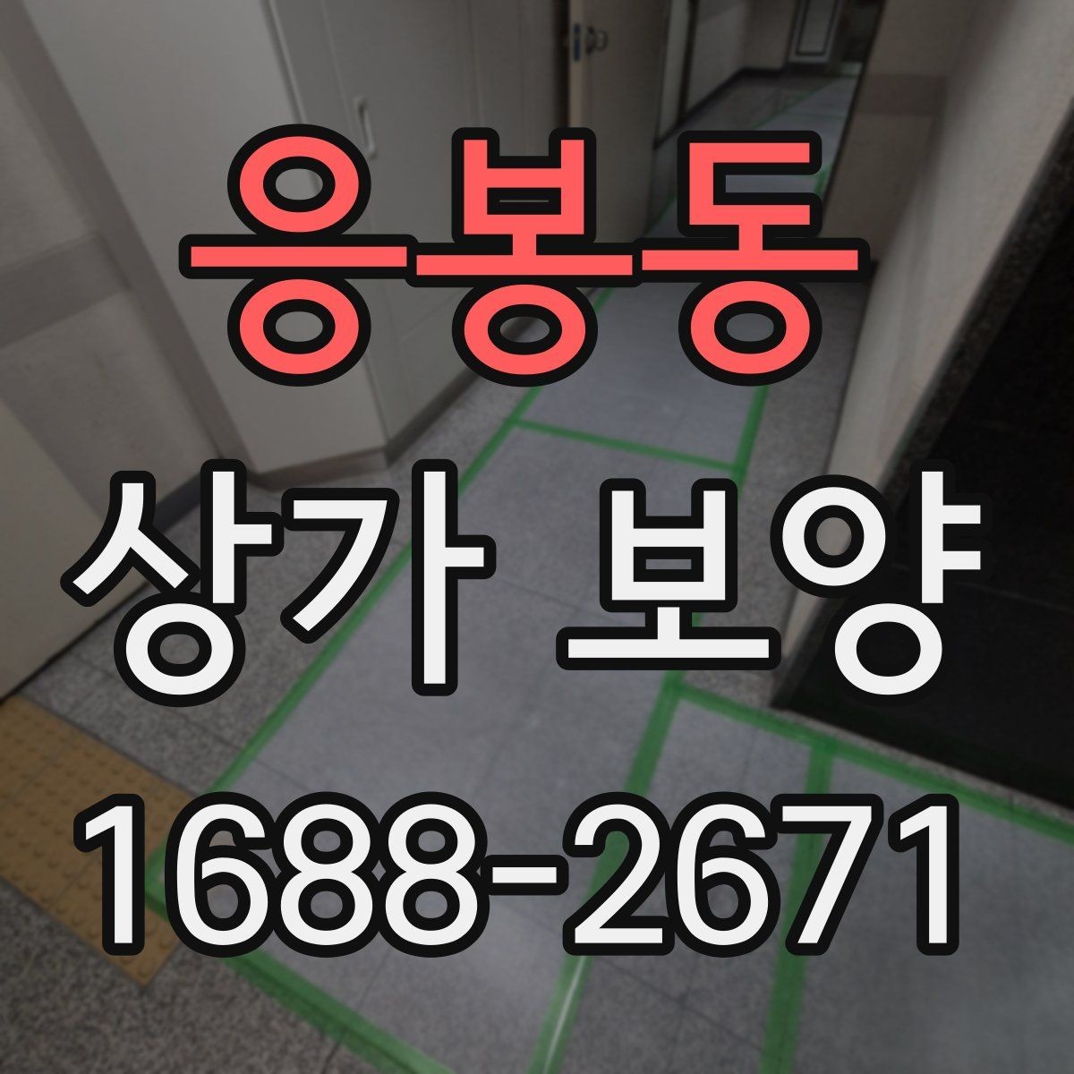 응봉동 상가 보양 일정 변경 시 대응 방법