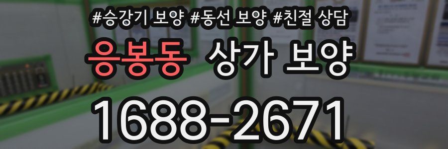 응봉동 상가 보양