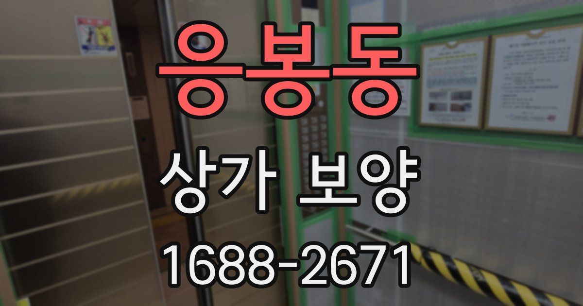 응봉동 상가 보양