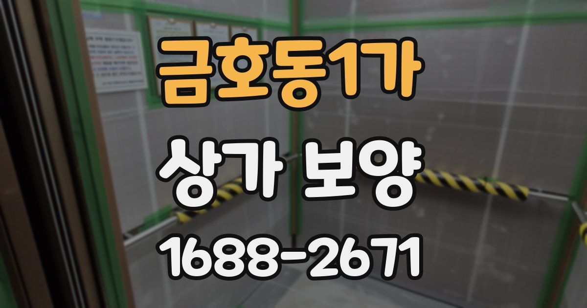 금호동1가 상가 보양