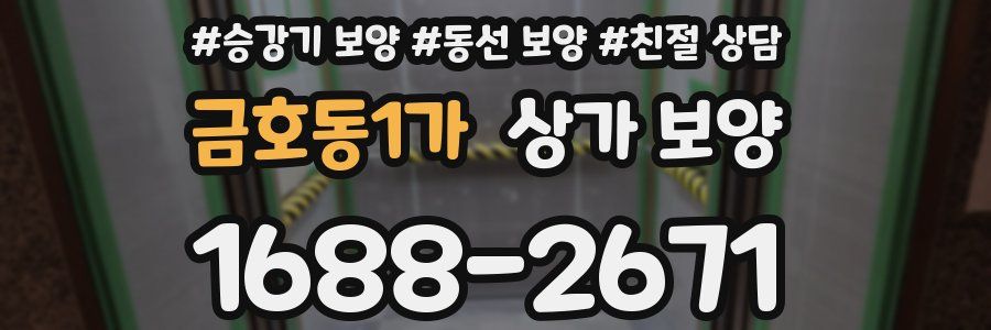 금호동1가 상가 보양