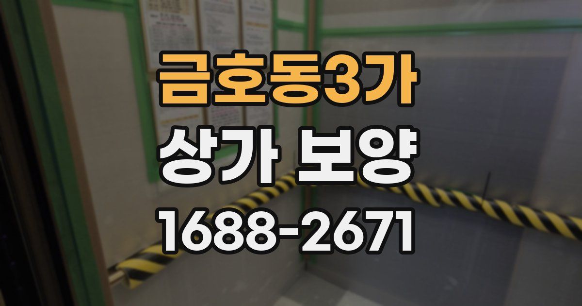금호동3가 상가 보양