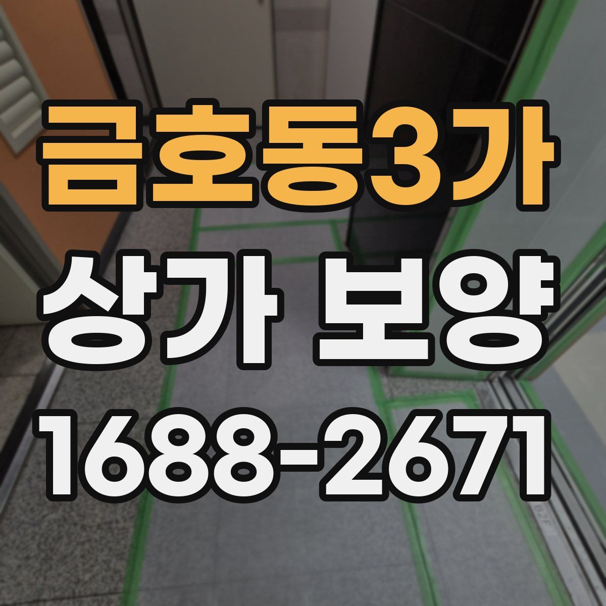 금호동3가 상가 보양