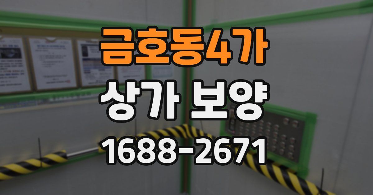 금호동4가 상가 보양