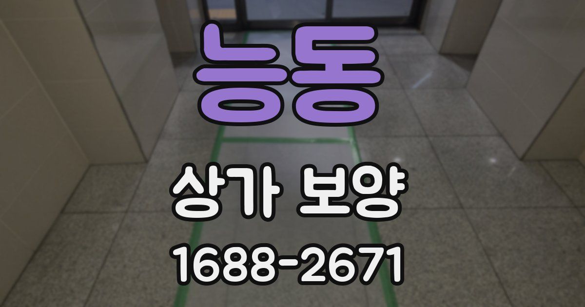 능동 상가 보양