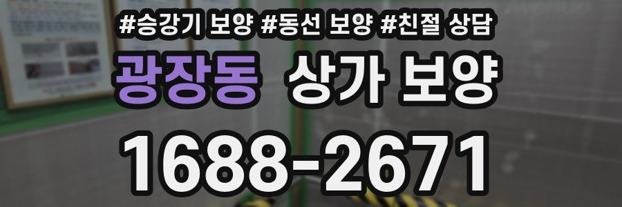 광장동 상가 보양