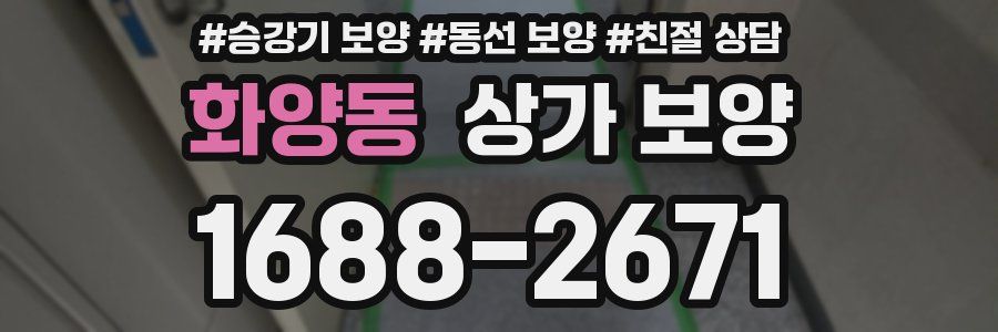 화양동 상가 보양