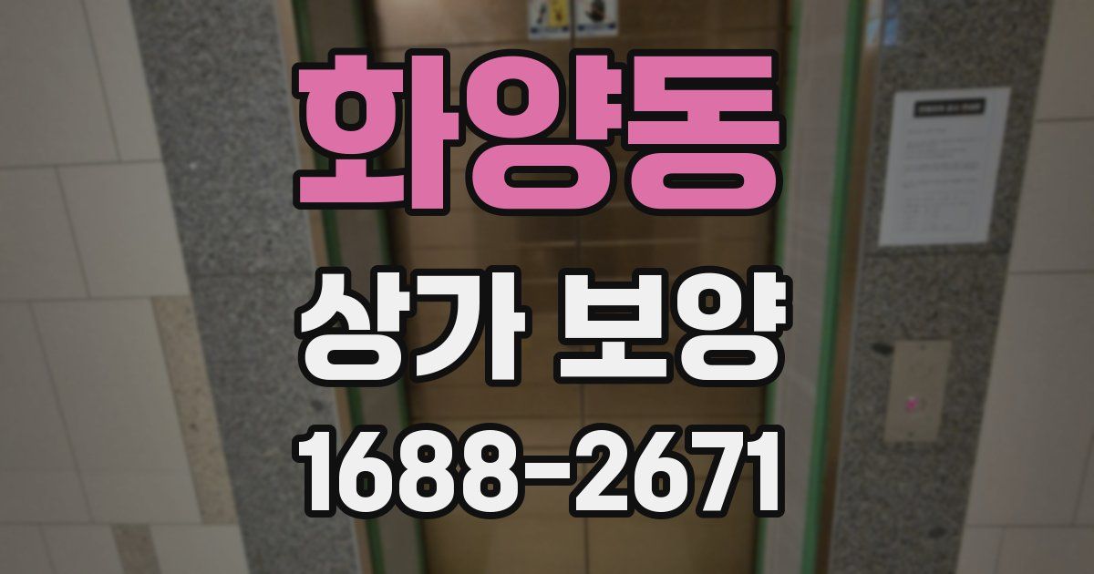 화양동 상가 보양