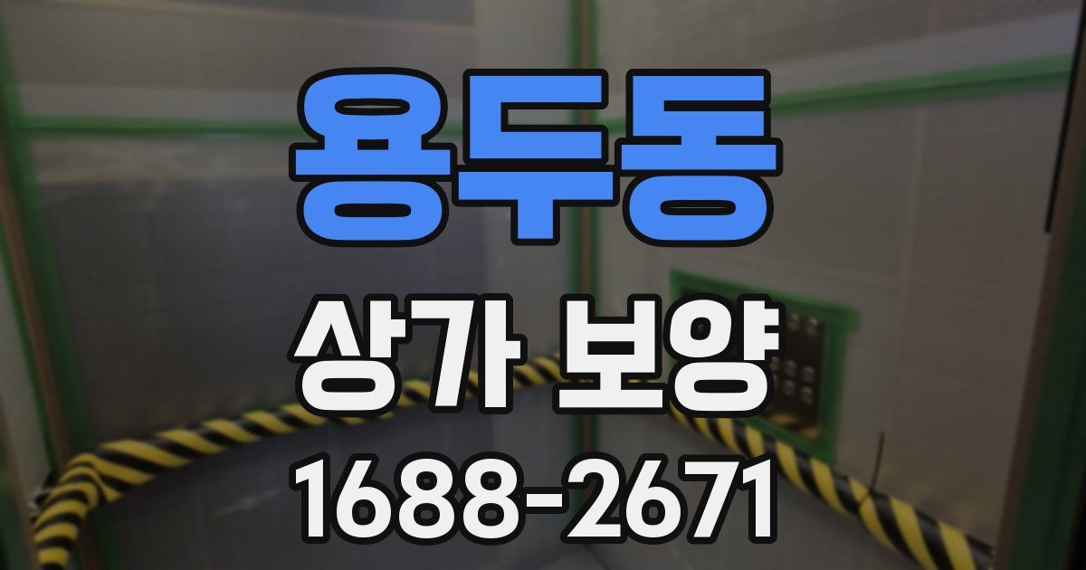 용두동 상가 보양