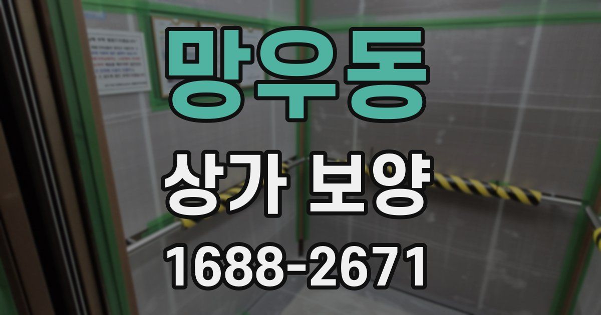 망우동 상가 보양