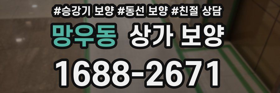 망우동 상가 보양