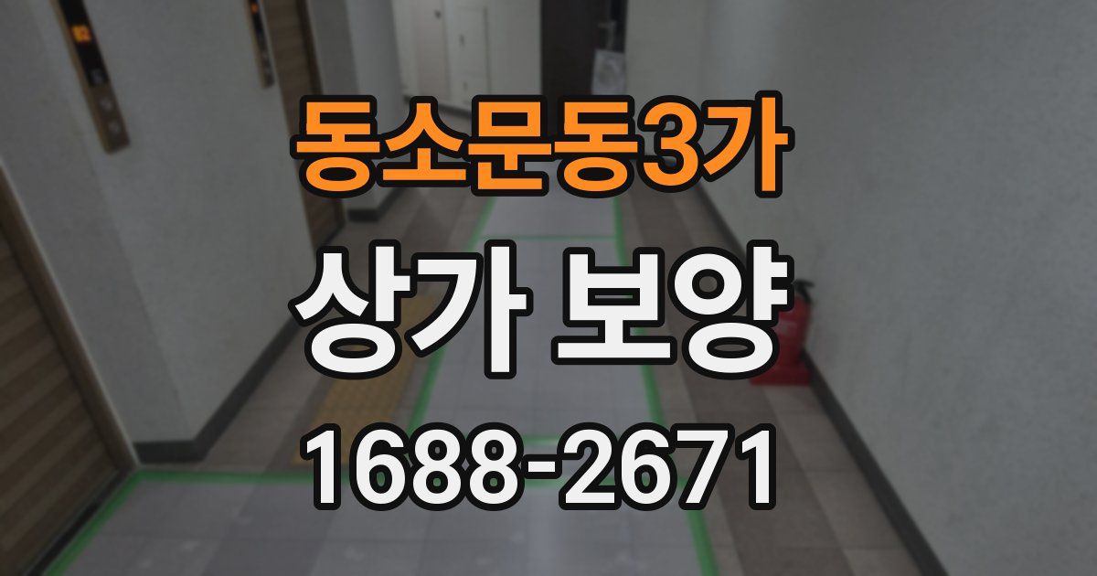 동소문동3가 상가 보양