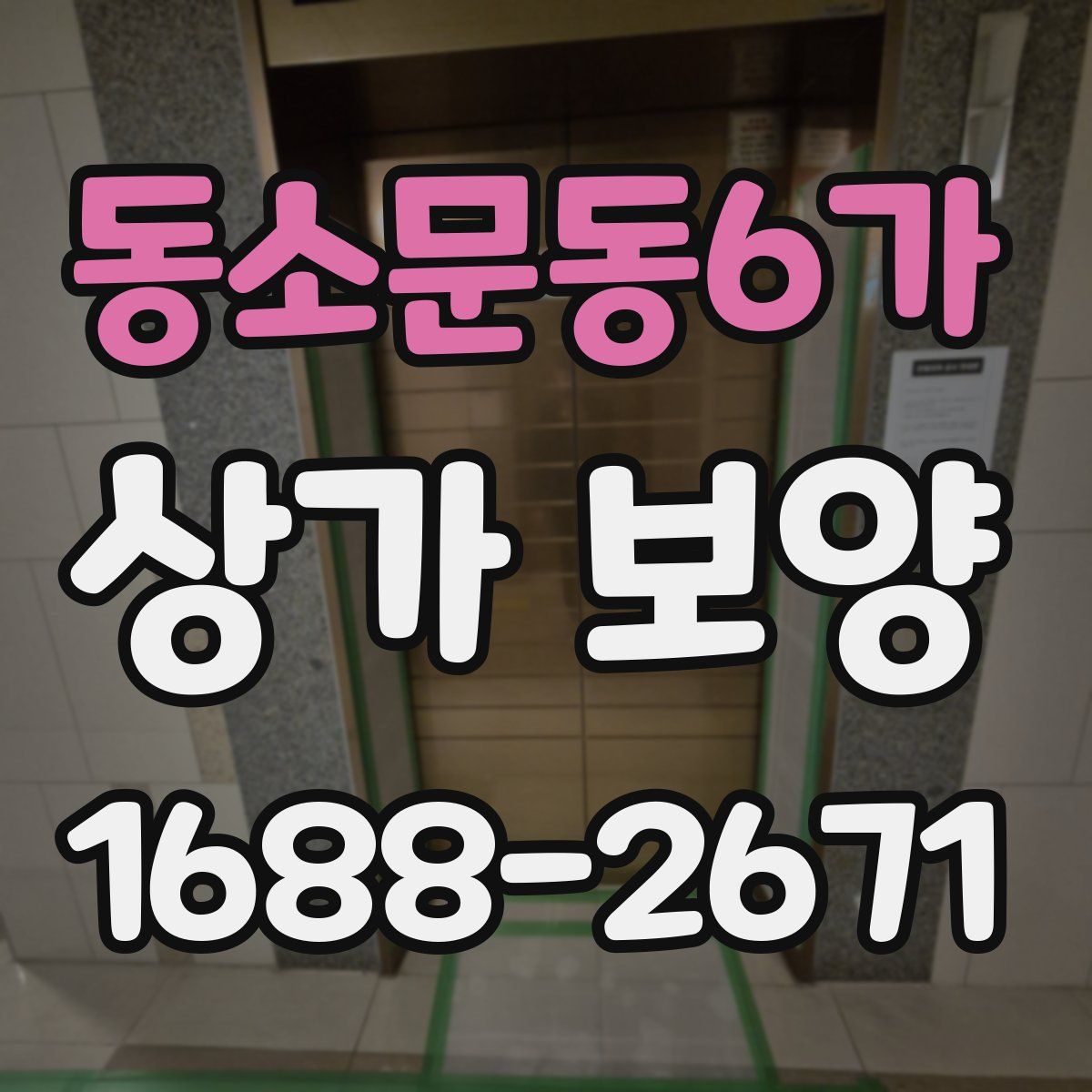 동소문동6가 상가 보양