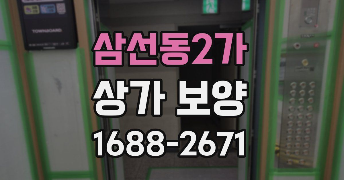 삼선동2가 상가 보양