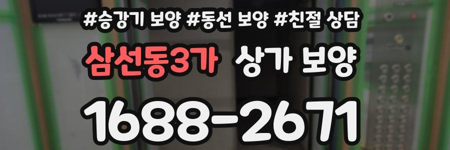 삼선동3가 상가 보양