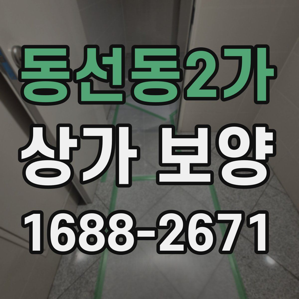 동선동2가 상가 보양