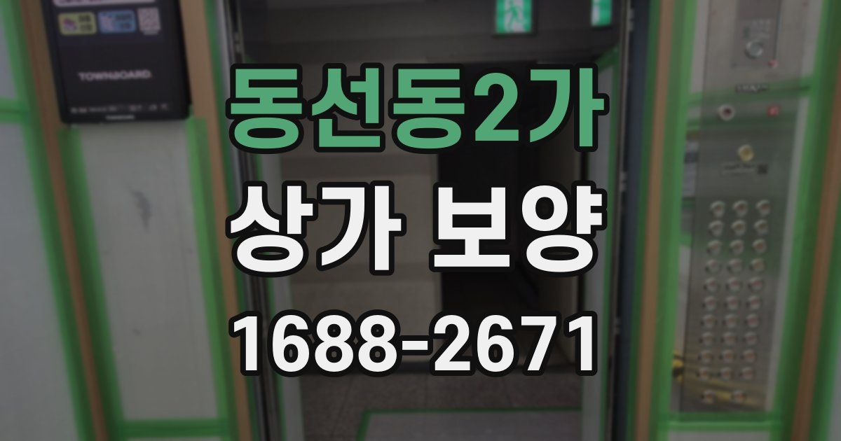 동선동2가 상가 보양