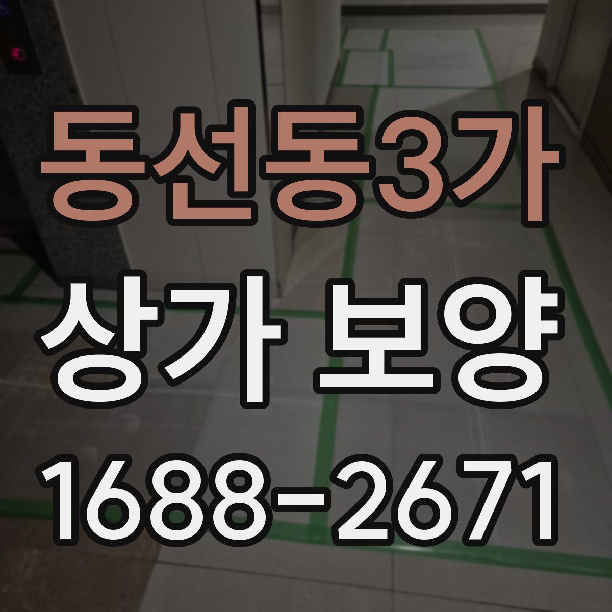 동선동3가 상가 보양