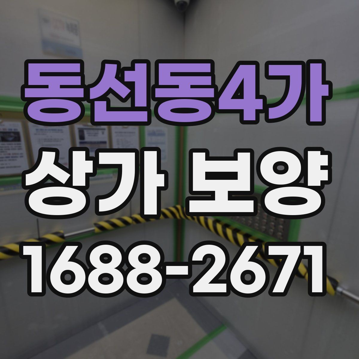 동선동4가 상가 보양 적용 범위와 제외 범위