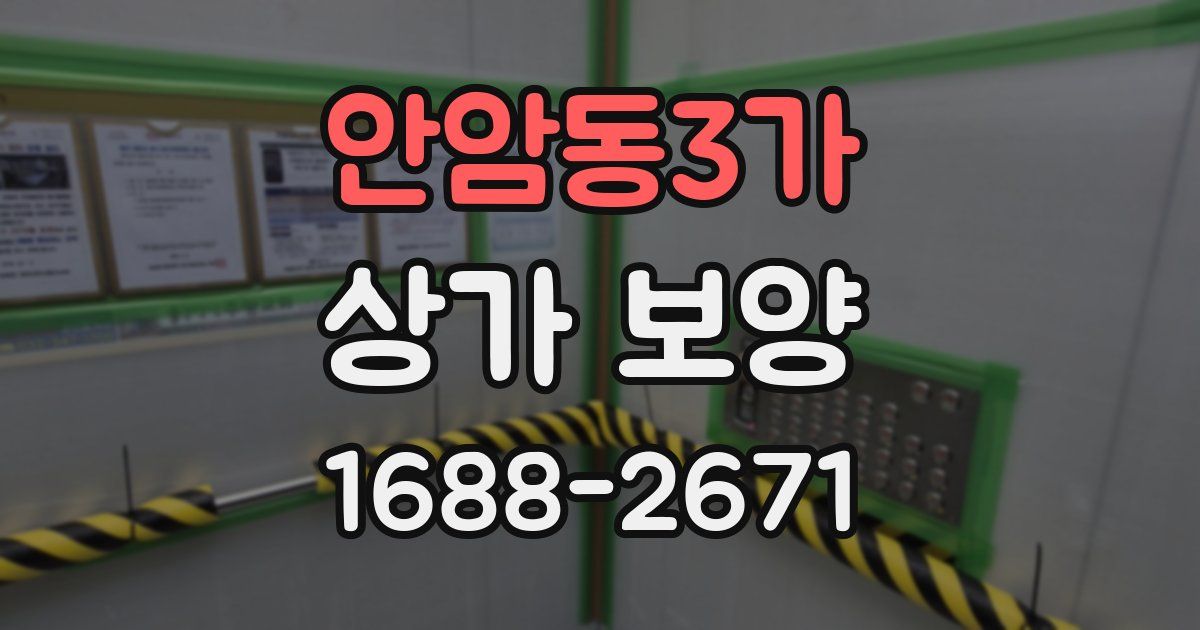 안암동3가 상가 보양