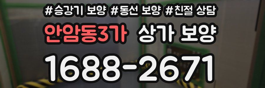 안암동3가 상가 보양