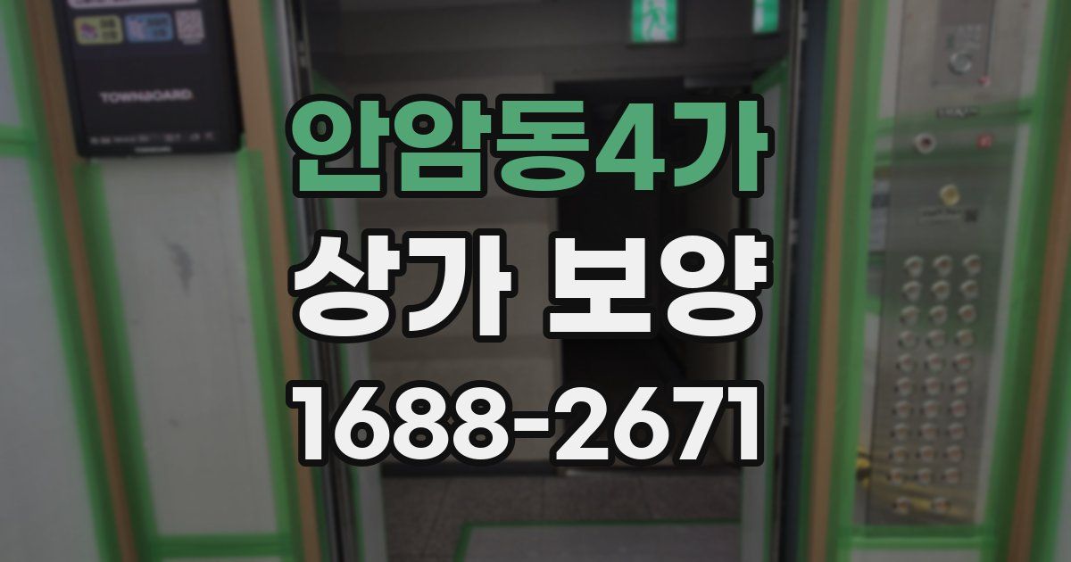 안암동4가 상가 보양